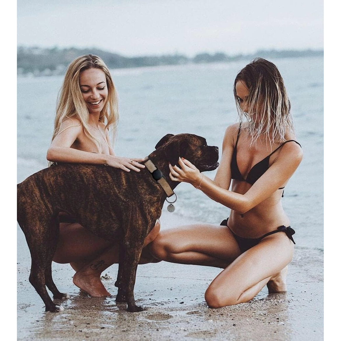 Apple AirTag silikoninis dėklas ant šuns ar katės antkaklio - juodas 3 Apple AirTag silikoninis dėklas ant šuns ar katės antkaklio - juodas 3