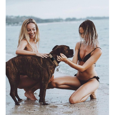 Apple AirTag silikoninis dėklas ant šuns ar katės antkaklio - juodas 3 Apple AirTag silikoninis dėklas ant šuns ar katės antkaklio - juodas 3