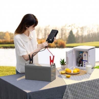 Baseus car power inverter 150W 12V / 500W 220V (EU and CN plug) Juodas (CGNB000101) 8