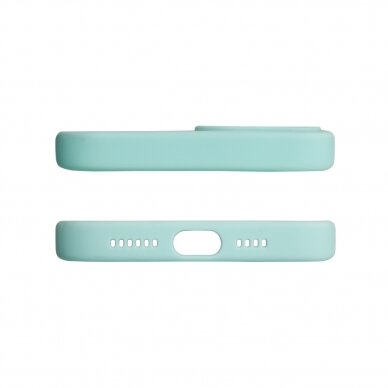 Dėklas Design Case for iPhone 13 Pro Max Gėlėtas, mėlynas 1