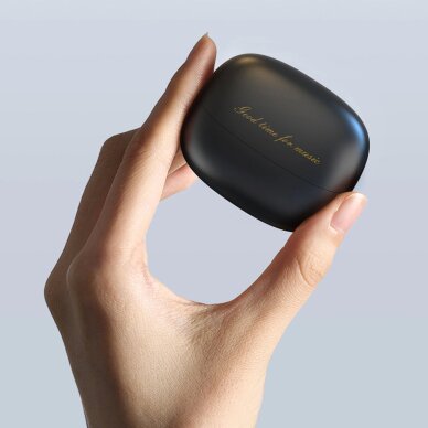 Belaidės ausinės Dudao U21 TWS Bluetooth – juodos 3 Belaidės ausinės Dudao U21 TWS Bluetooth – juodos 3