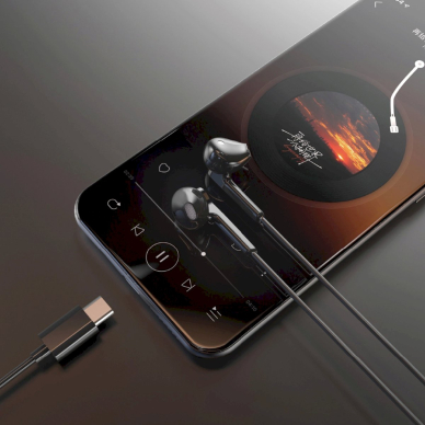 Dudao X3C in-ear laidinės USB-C ausinės 1.2 m – juodas 1