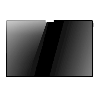 MacBook Pro 16'' (2019/2021/2023) Dux Ducis Privacy apsauginė plėvelė 1