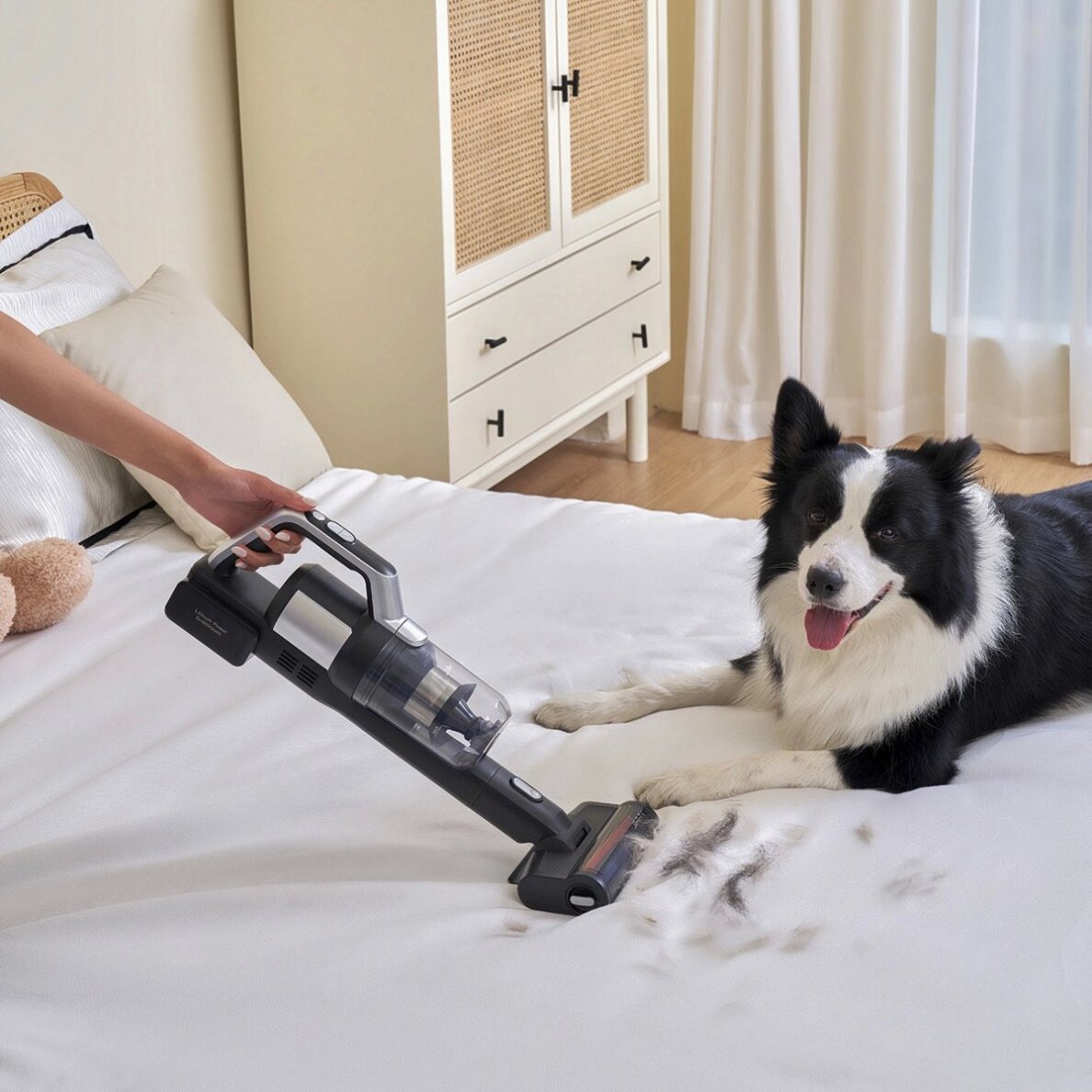 Belaidis dulkių siurblys ir plovimo įrenginys JIMMY PW11 17