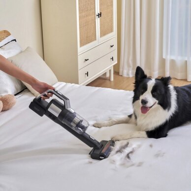 Belaidis dulkių siurblys ir plovimo įrenginys JIMMY PW11 Pro 18