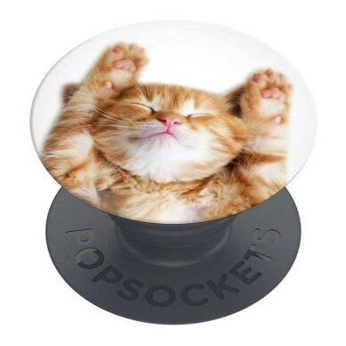 Telefono laikiklis Popsockets 2 Snoozy Cat