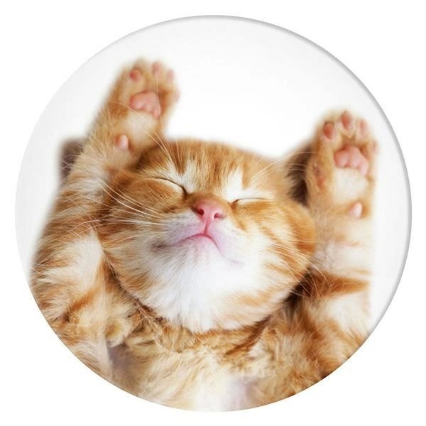 Telefono laikiklis Popsockets 2 Snoozy Cat 1