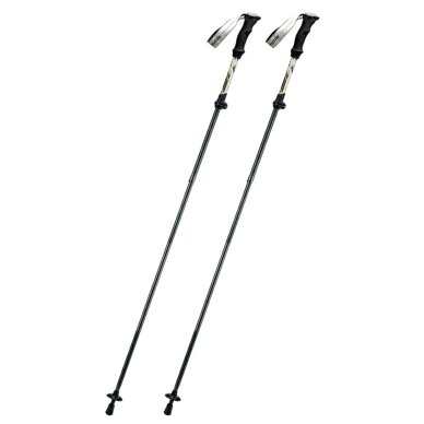 Žygio lazda Qunature Nordic Walking Trekking Pole aliumininė 110–130 cm, 1 vnt. – ruda Žygio lazda Qunature Nordic Walking Trekking Pole aliumininė 110–130 cm, 1 vnt. – ruda