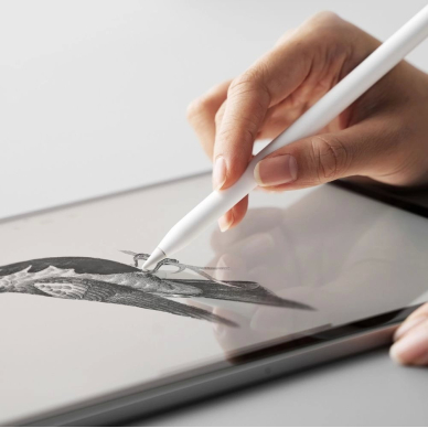 iPad Pro 11" 2024 (5 kartos) Ringke Easy Slide grūdintas stiklas 5