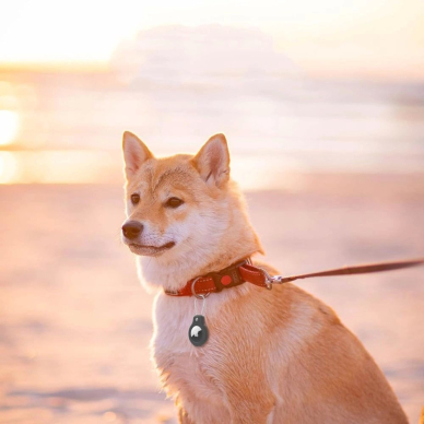 Tech-Protect Rough Vein 2-pack Dėklas Apple AirTag - Juodas 4 Tech-Protect Rough Vein 2-pack Dėklas Apple AirTag - Juodas 4